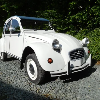 2 Chevaux Blanche